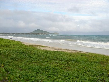 Oahu Beachfront Building Lot